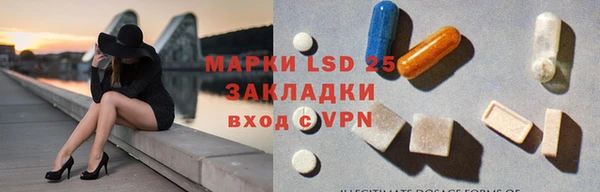 мет Ельня