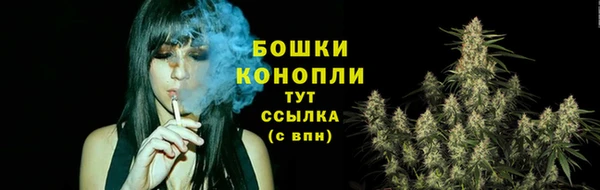 мет Ельня