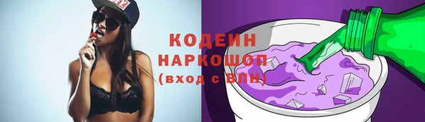 мет Ельня