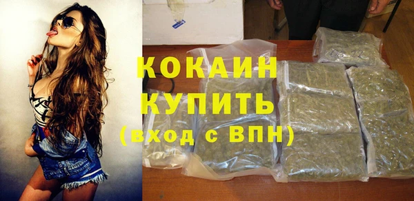 мет Ельня