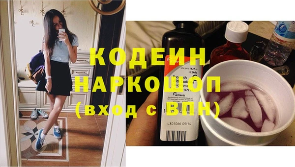 мет Ельня