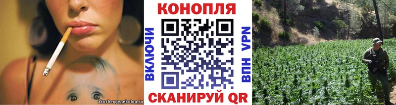 Купить где  Воткинск  Каннабис THC 21% 